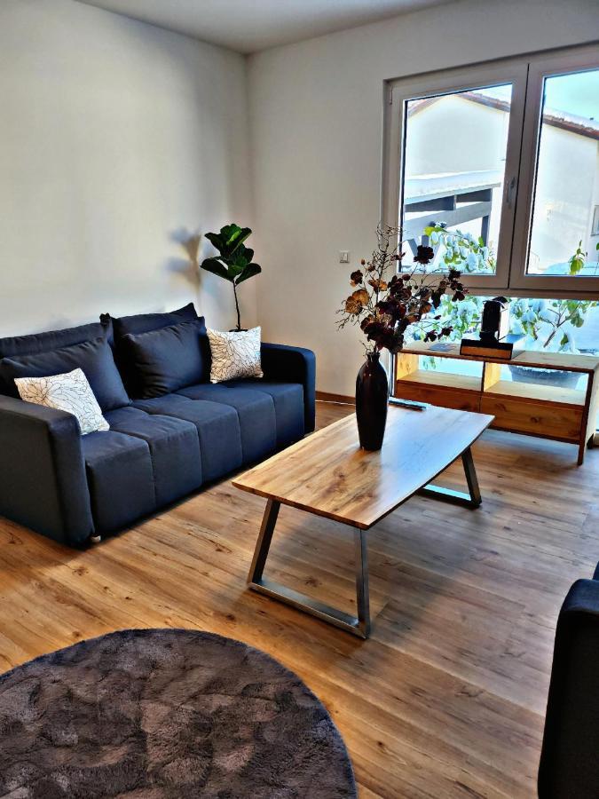 Lions Place Premium Apartments Comfort Optionaler Zugang Zum Spa- Bereich Heidenheim an der Brenz Zewnętrze zdjęcie