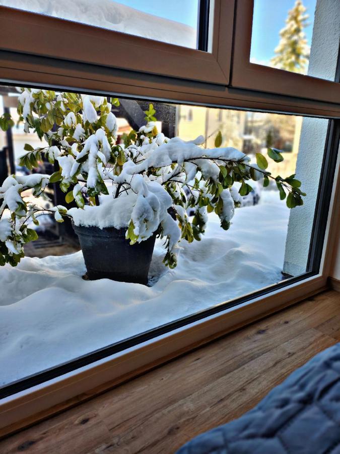 Lions Place Premium Apartments Comfort Optionaler Zugang Zum Spa- Bereich Heidenheim an der Brenz Zewnętrze zdjęcie