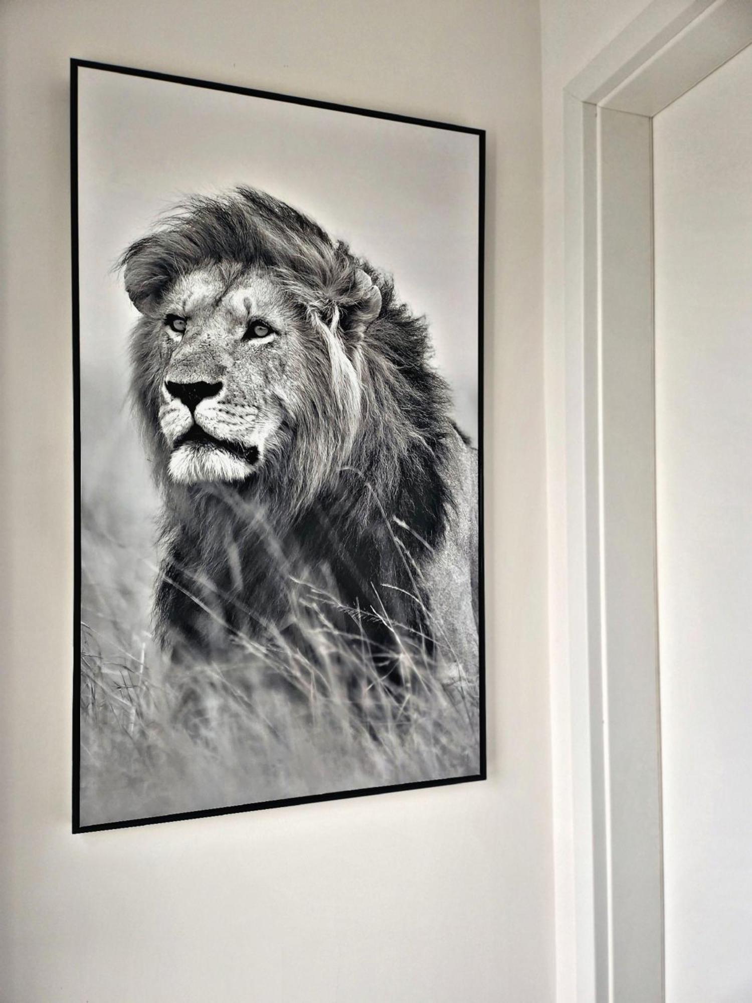 Lions Place Premium Apartments Comfort Optionaler Zugang Zum Spa- Bereich Heidenheim an der Brenz Zewnętrze zdjęcie