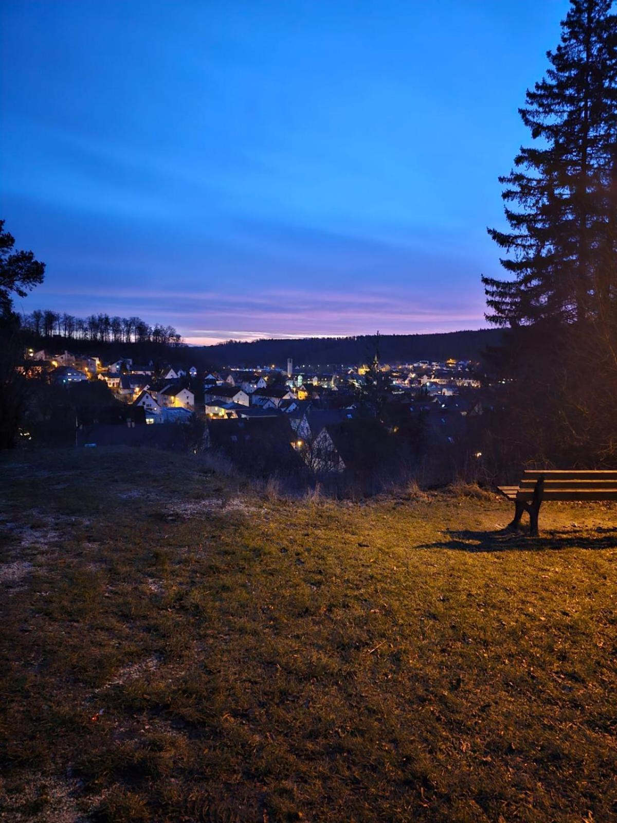 Lions Place Premium Apartments Comfort Optionaler Zugang Zum Spa- Bereich Heidenheim an der Brenz Zewnętrze zdjęcie
